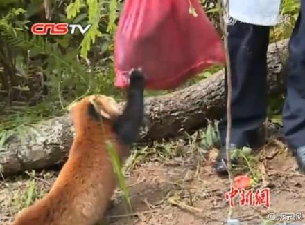 鸭脖官网登录